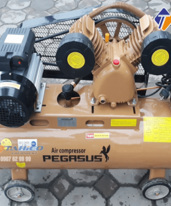 may-nen-khi-day-dai-pegasus-3hp-dung-dien-3-pha-tm-v-0.25-8-100l