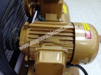 may-nen-khi-day-dai-pegasus-tm-w-2-0-12-5-500l-3