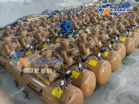 may-nen-khi-truc-vit-pegasus-11kw-tmtv-15a-3